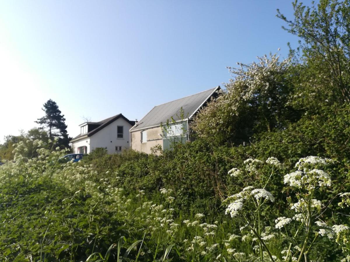 Ferienwohnung In De Boomgaard Burgh-Haamstede Exterior foto